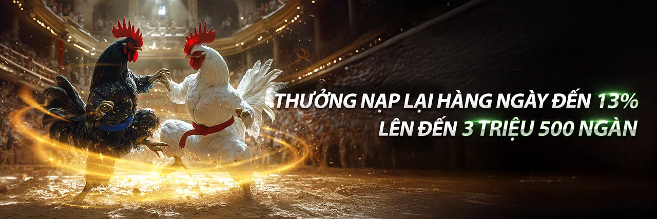 Khuyến Mãi Hấp Dẫn pp55 2026