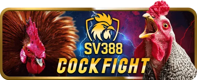 Lưu ý quan trọng về ưu đãi pp55