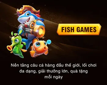 Quản lý tài khoản pp55 dễ dàng